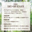 画像3: HINOKI ROOM FRESH WATER ヒノキ 天然 消臭 スプレー ローズ 200ml スタイリッシュ ボトル 消臭スプレー 除菌スプレー (3)